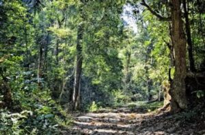 hiking trails doi suthep national park
